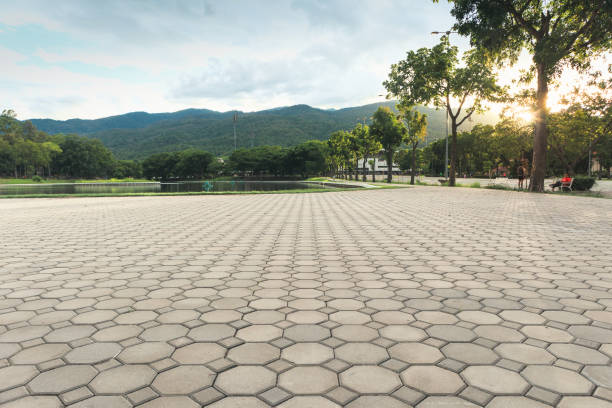 Best Driveway Pavers Near Me  in Mount Zion, GA